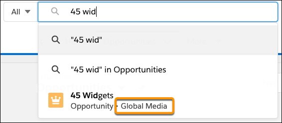 Salesforce Spring '20 Release - User sees more details when Searching