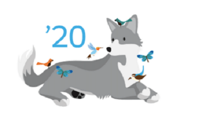 Salesforce Spring 20 Release Notes